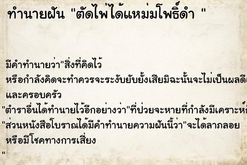ทำนายฝันทำนายฝันตัดไพ่ได้แหม่มโพธิ์ดำ